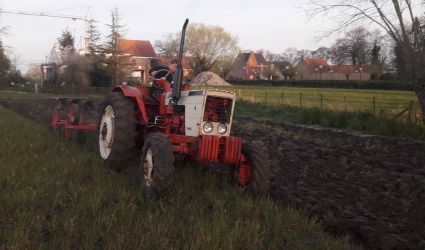 Belarus Workmaster
