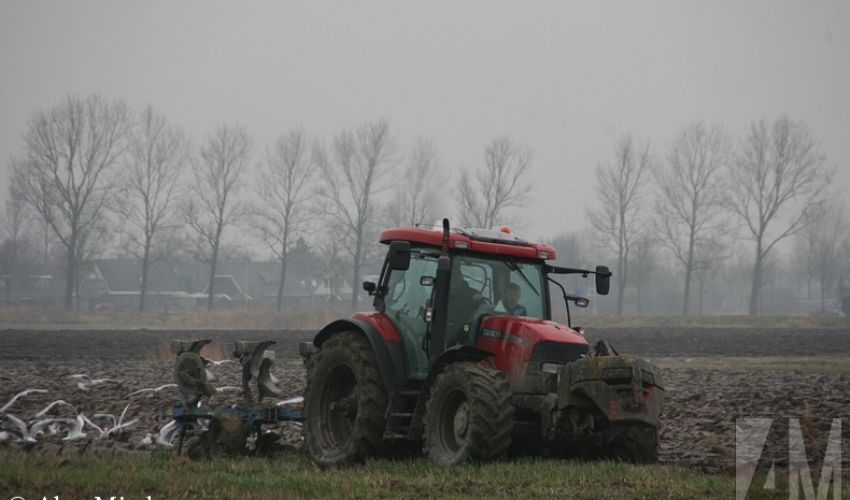 Case IH Maxxum 125