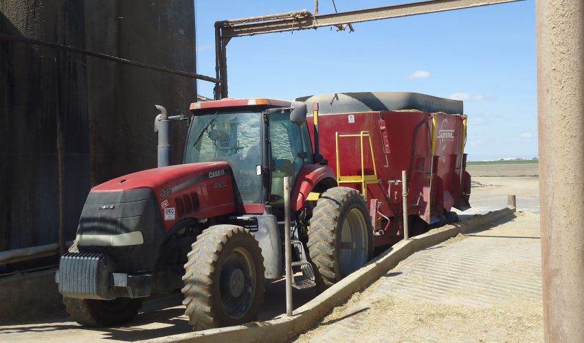 Case IH Magnum 275