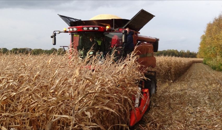 Case IH Axial Flow 8120