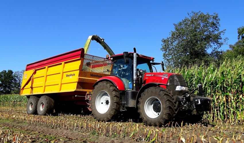 Case CVX 175