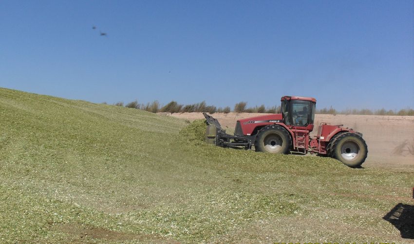 Case IH Steiger STX 440