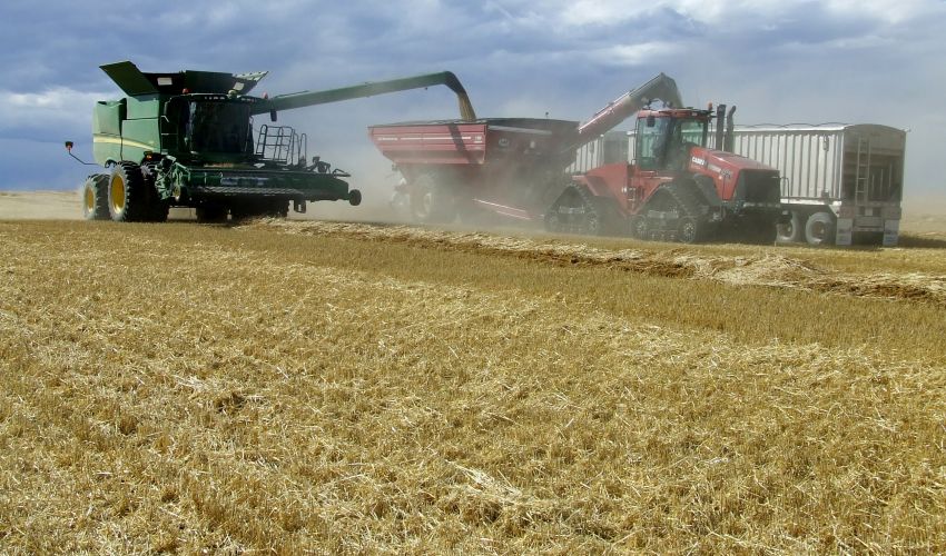 Case IH Quadtrac 485