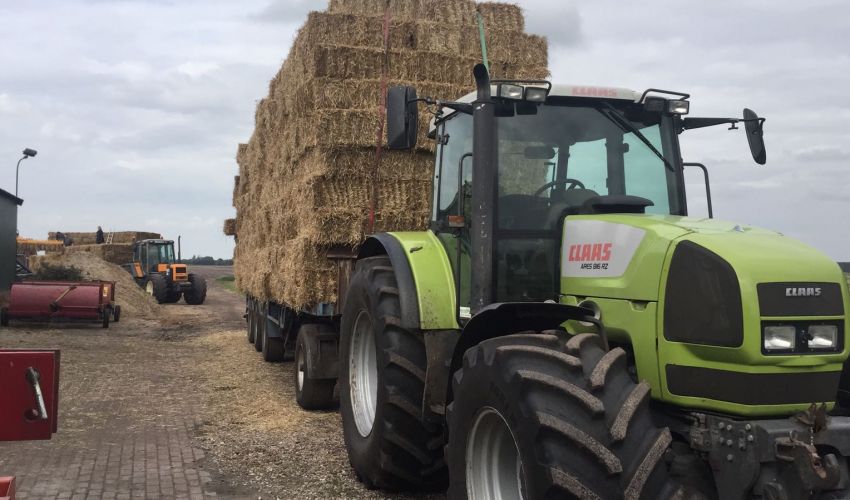 Claas Ares 816 RZ