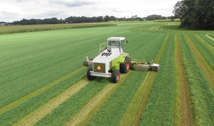 Claas Jaguar 695 SL