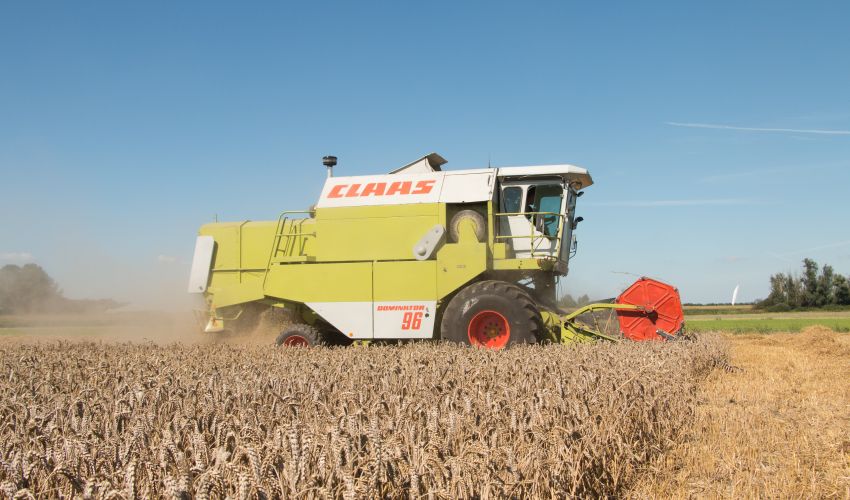 Claas Dominator 98
