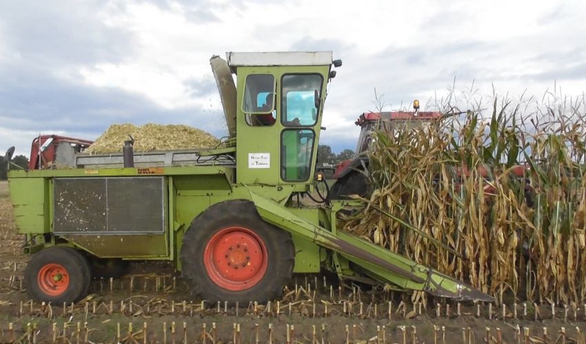 Claas Jaguar 70 SF