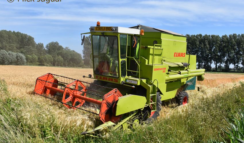 Claas Dominator 85