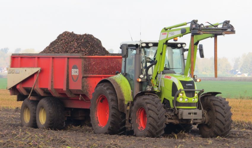 Claas Arion