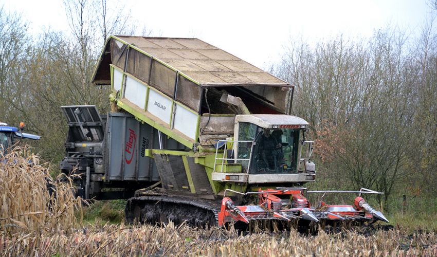 Claas Jaguar