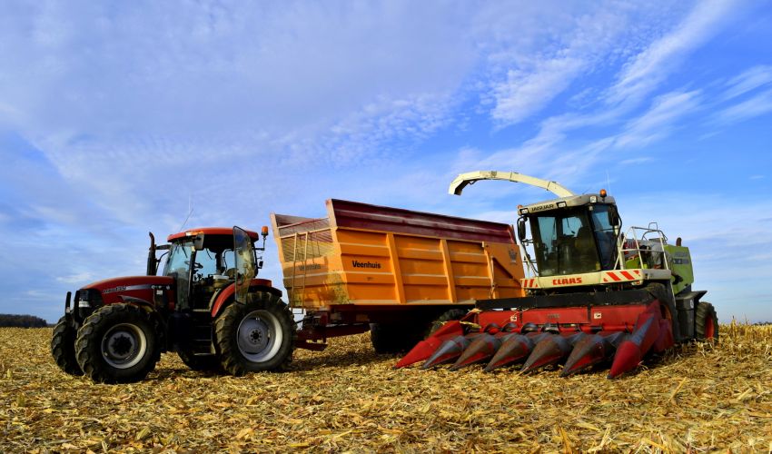 Claas Jaguar 830