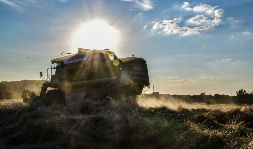 Claas Dominator 98