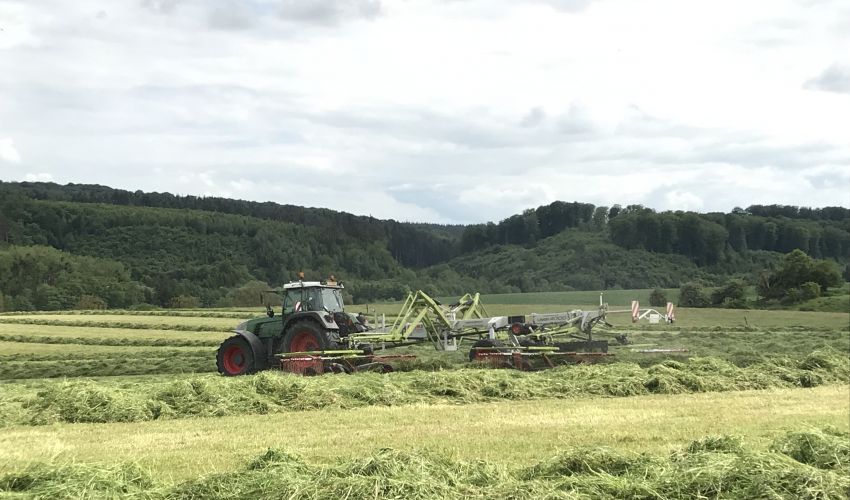 Claas Hark
