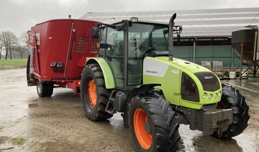 Claas Celtis