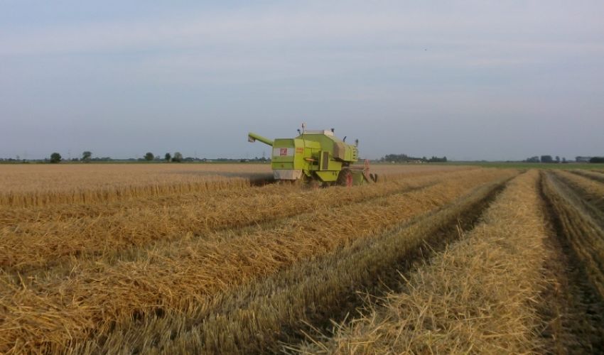 Claas Consul