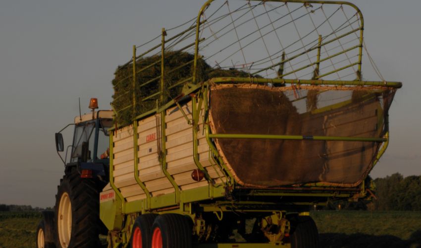Claas Sprint