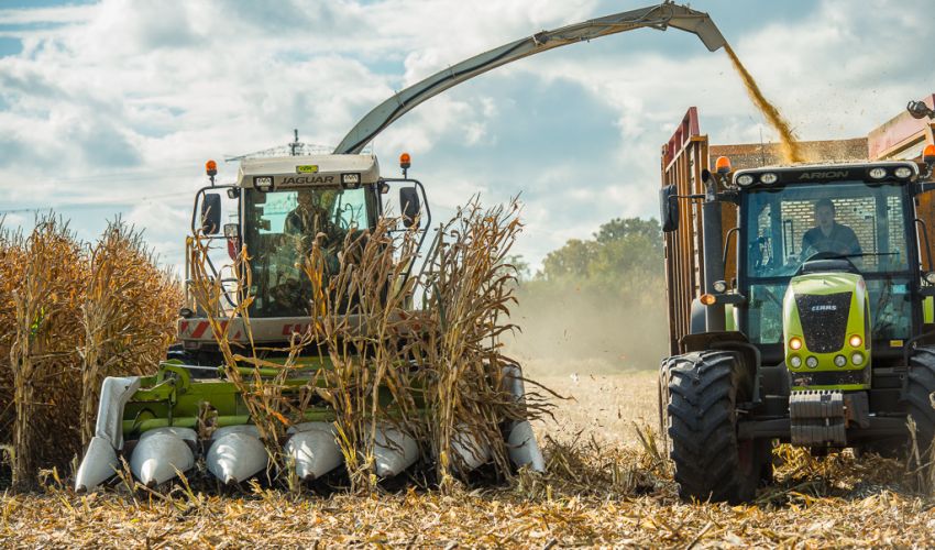Claas Jaguar 870