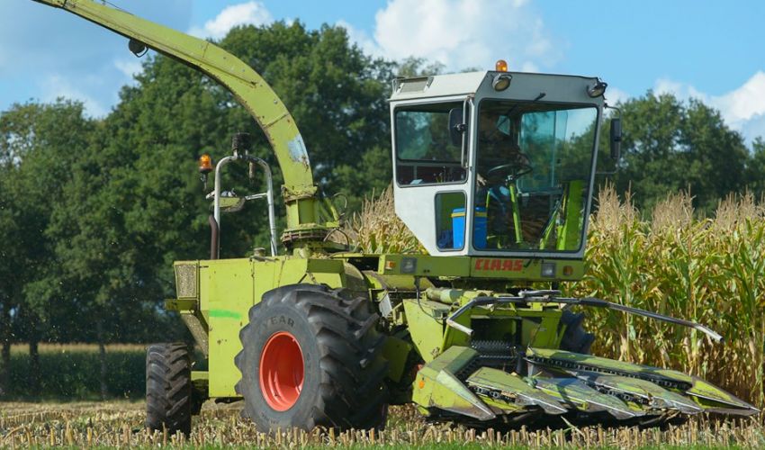 Claas Jaguar 80 SF