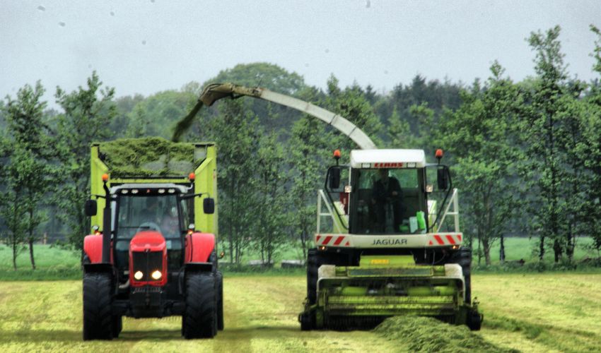 Claas Jaguar 830