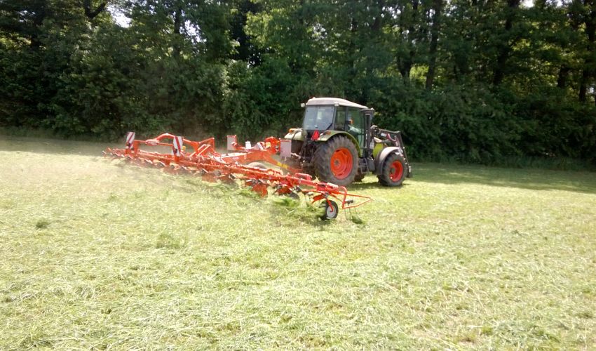 Claas Celtis 446 RX