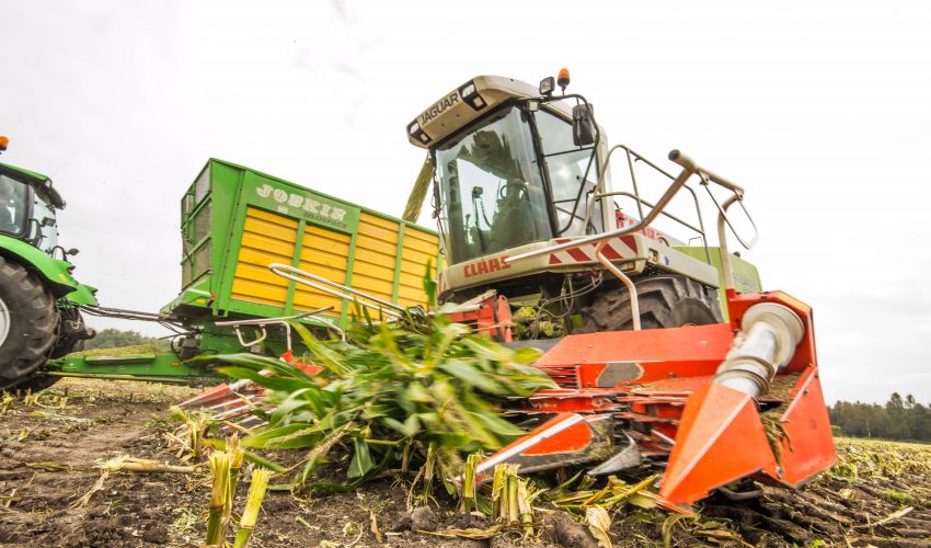 Claas Jaguar 870 Speedstar