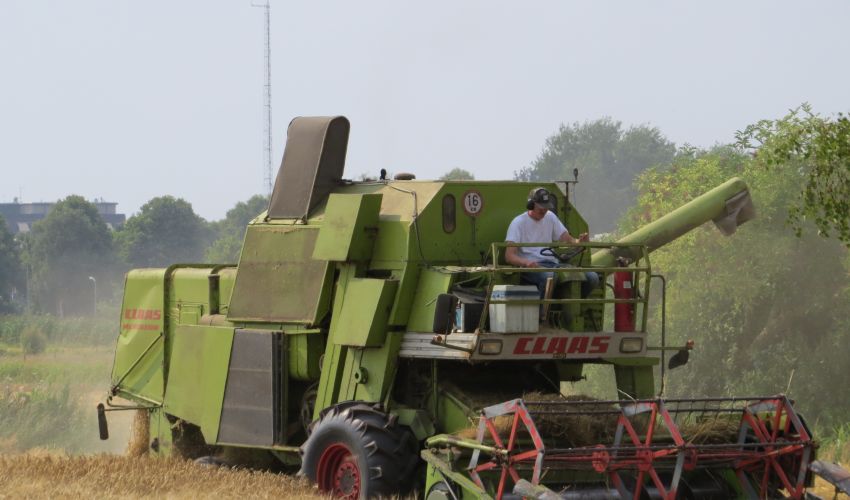 Claas Mercator