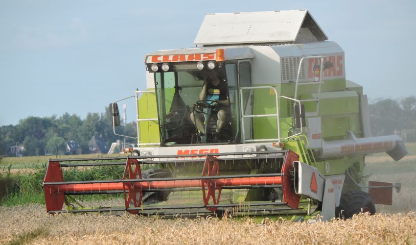 Claas Dominator 203 Mega