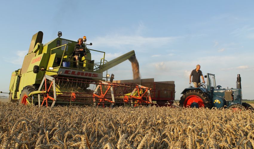 Claas Mercator 75