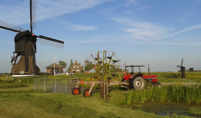Claas Hark