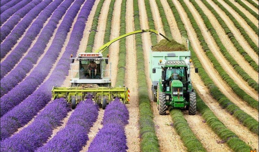 Claas Hakselaar