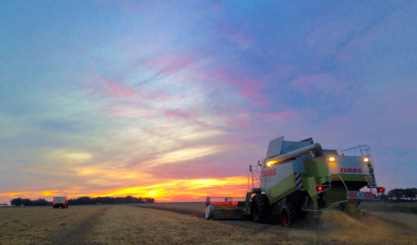 Claas Lexion 480