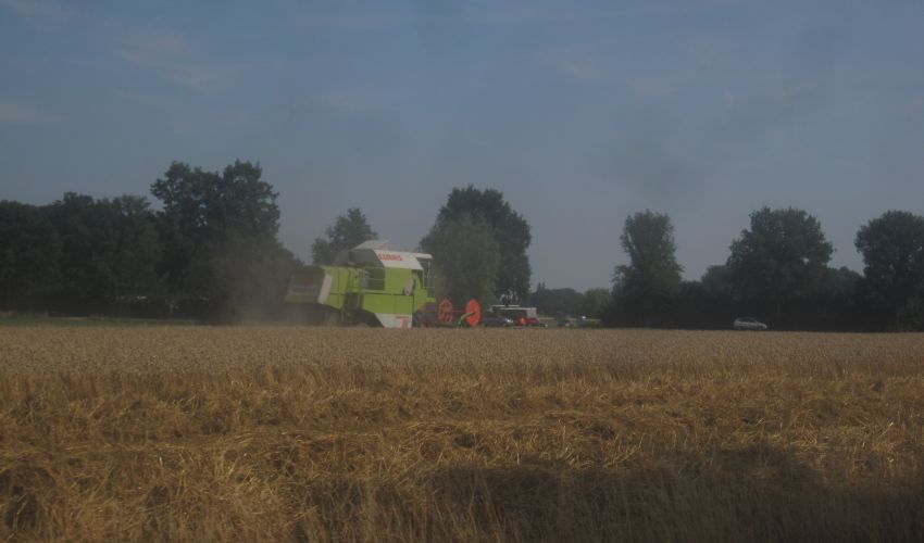 Claas Dominator 86