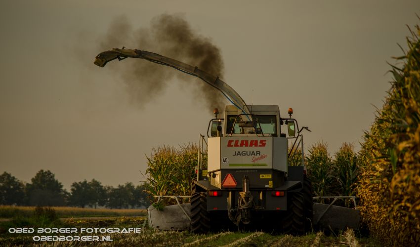 Claas Jaguar 890