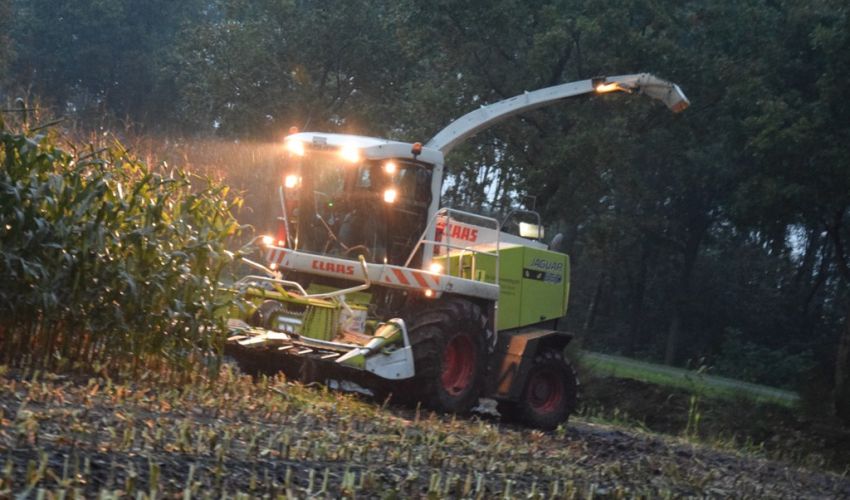 Claas Jaguar 850 Green Eye