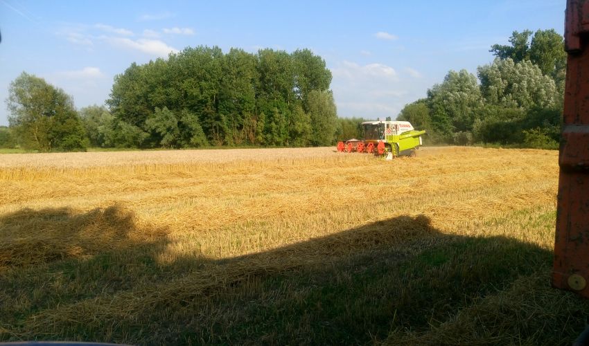 Claas Medion