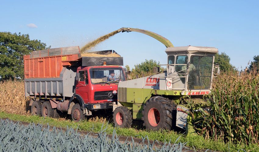 Claas Jaguar