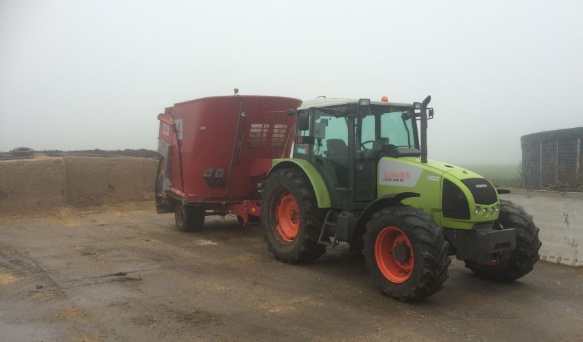 Claas Celtis