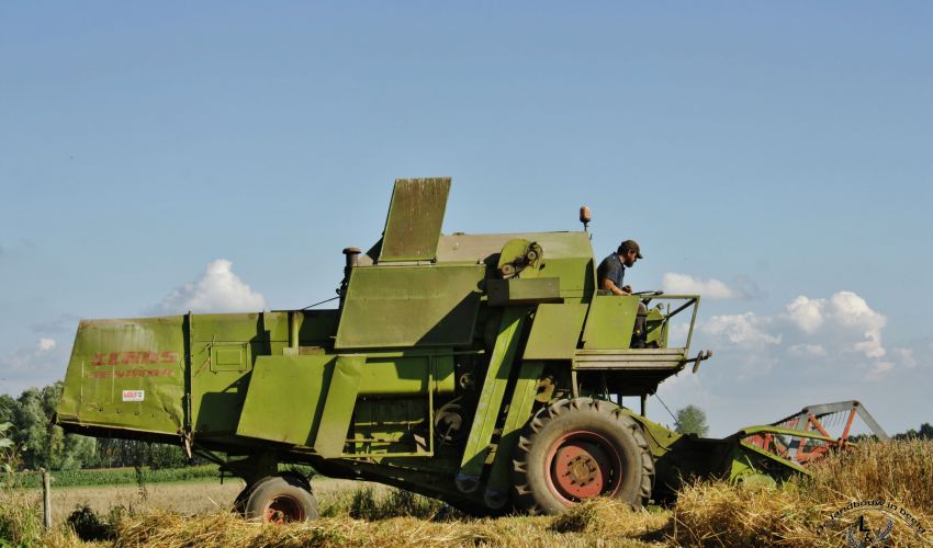 Claas Senator