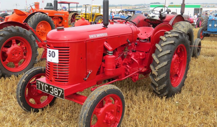 David Brown 25 B