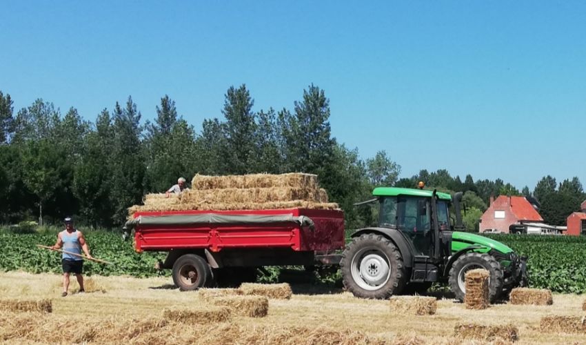 Deutz-Fahr Agroplus 100