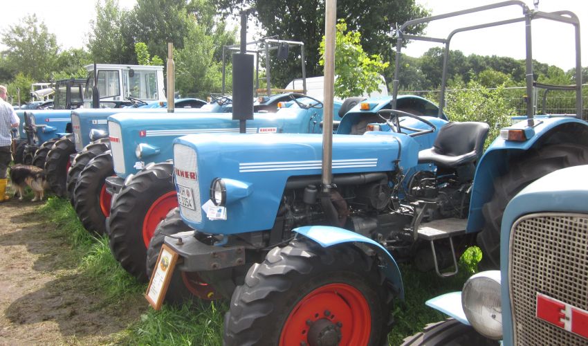 Eicher Mammut (74)