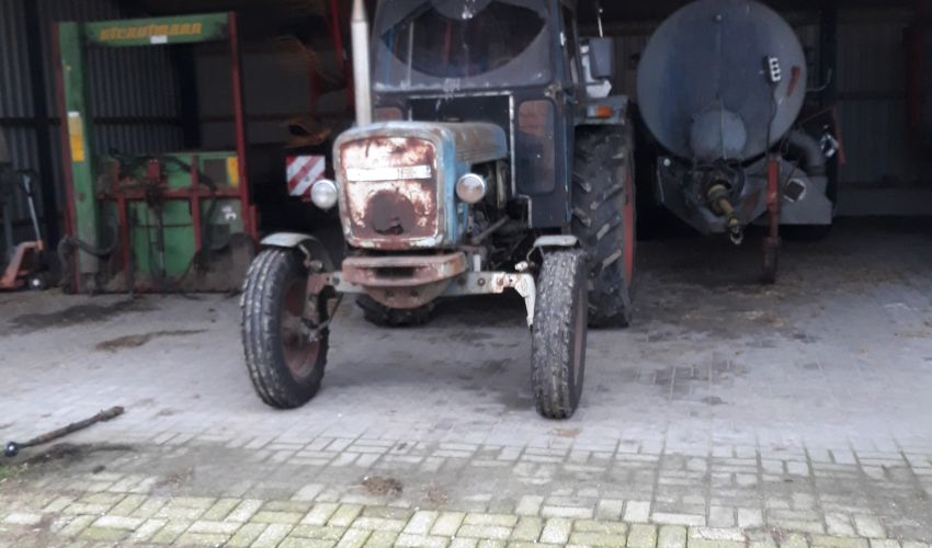 Eicher Büffel