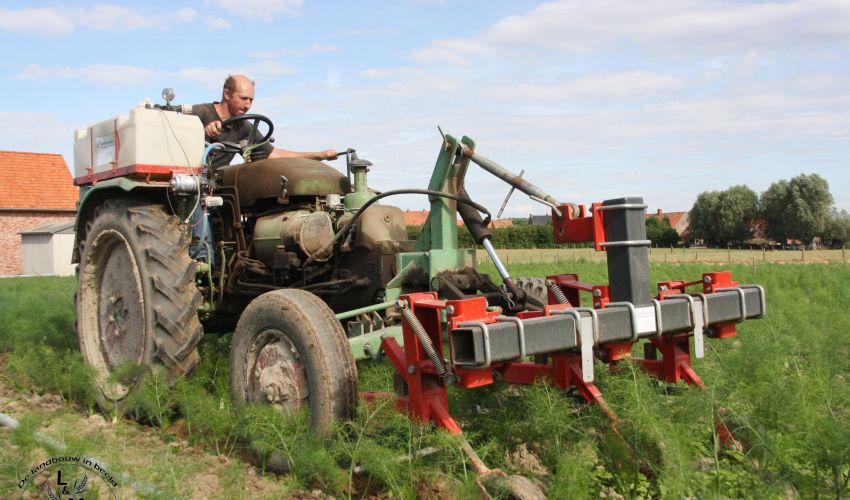 Fendt F 231 GT