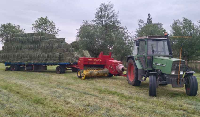 Fendt 303 LS