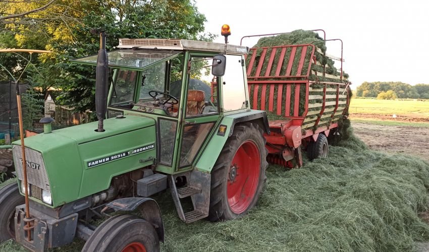 Fendt 303 LS