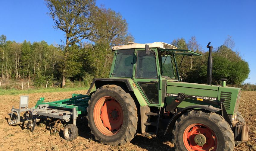 Fendt 310 LS(A)