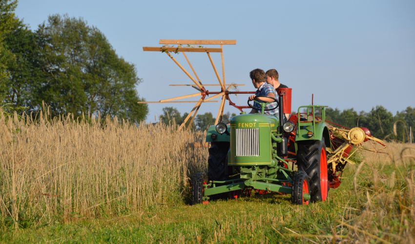 Fendt Dieselross F15