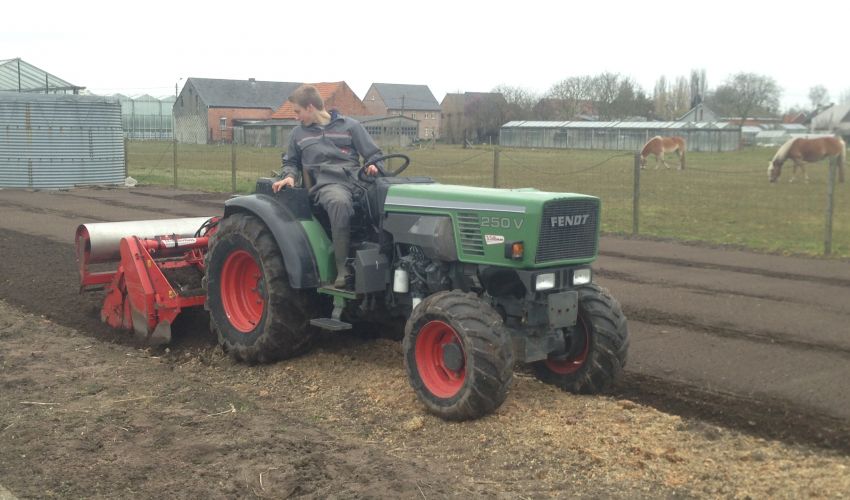 Fendt 250 V