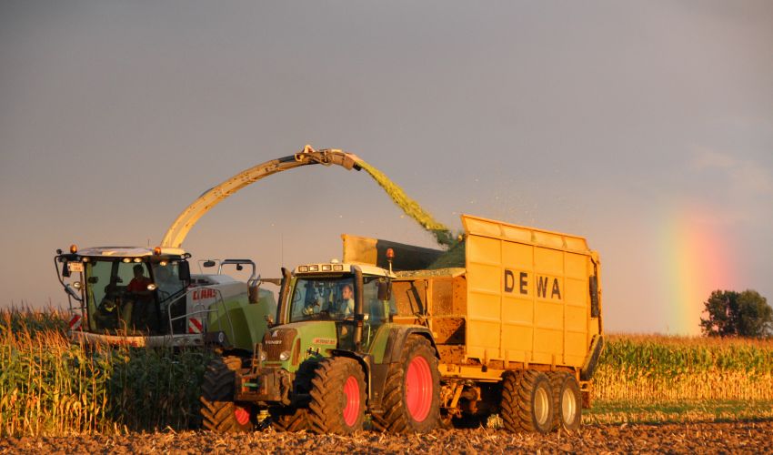 Fendt 817