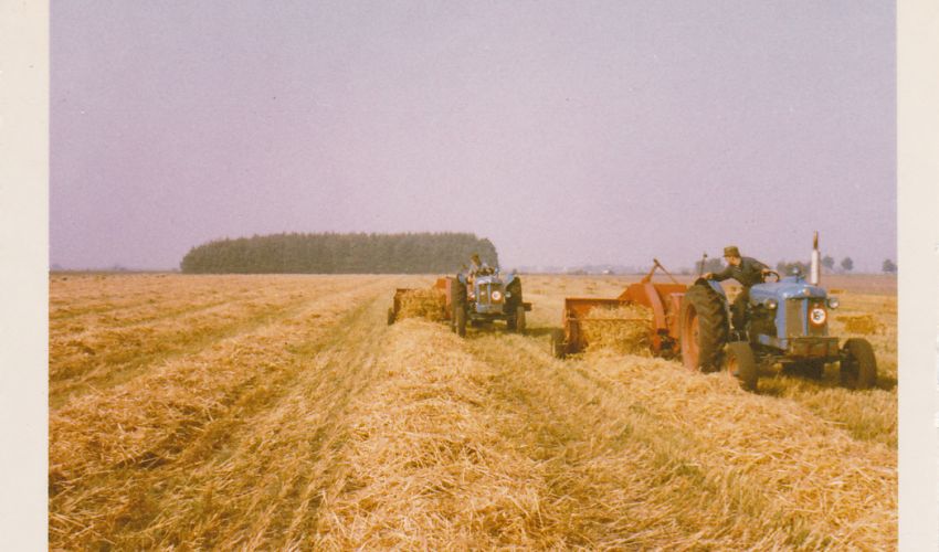 Fordson Major